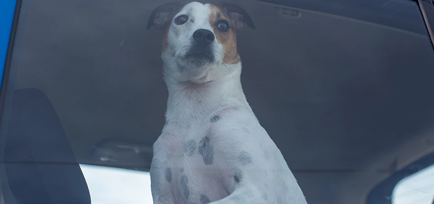 Car Lockout Solutions in Adelanto, California